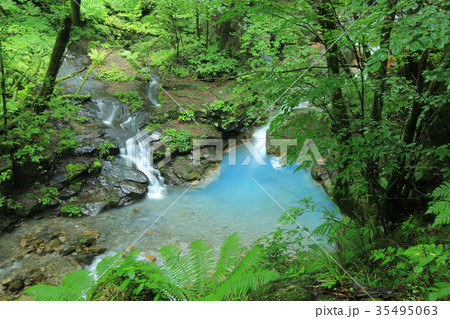 スッカン沢 35495063