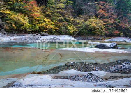 面河渓の紅葉 面河渓の紅葉 35495662