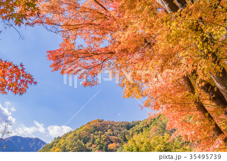 日本の秋 富士五湖、河口湖畔の風景 35495739