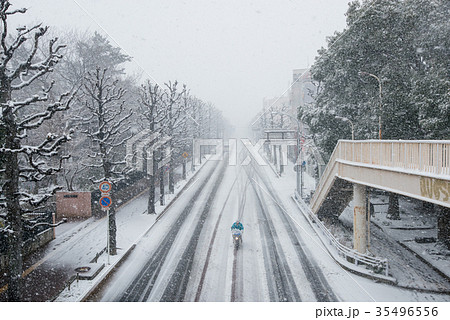 西千葉 関東 大雪の記録 35496556