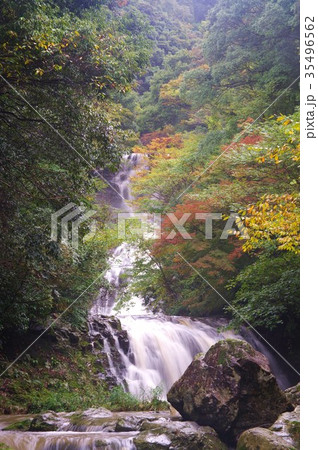岩瀧寺の滝 岩瀧寺の滝 35496562