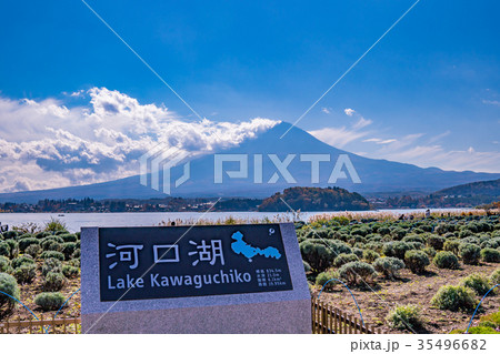日本の秋 富士五湖、河口湖畔の風景 35496682