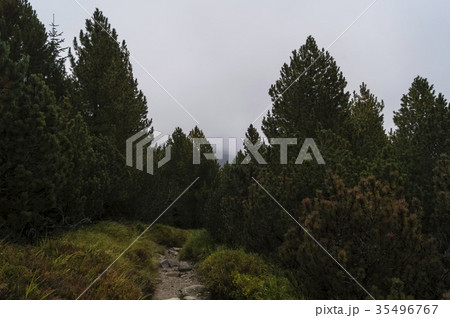 view of high Tatra view of high Tatra 35496767