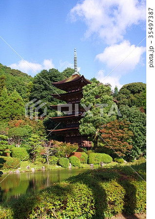 瑠璃光寺 瑠璃光寺 35497387