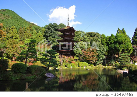 瑠璃光寺 瑠璃光寺 35497468