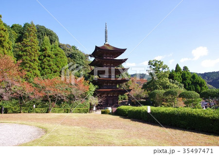 瑠璃光寺 瑠璃光寺 35497471