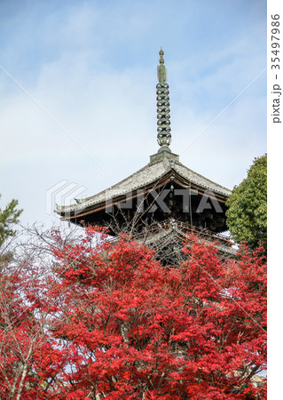 仁和寺・五重塔と紅葉 仁和寺・五重塔と紅葉 35497986