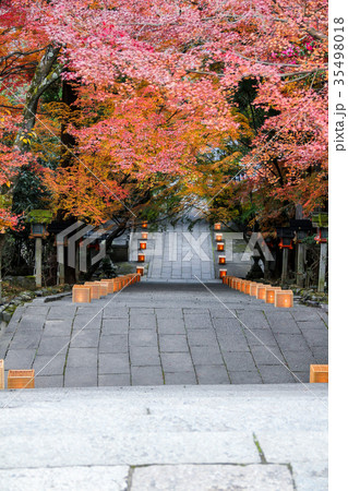 虚空蔵法輪寺の紅葉、参道石段を振り返り見降ろす眺め 35498018