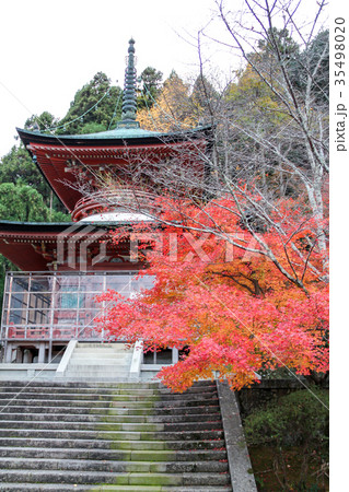 虚空蔵法輪寺、多宝塔と紅葉 虚空蔵法輪寺、多宝塔と紅葉 35498020