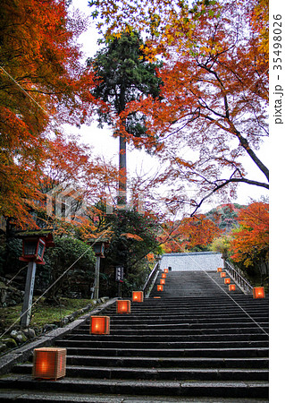 虚空蔵法輪寺、参道石段の紅葉 35498026