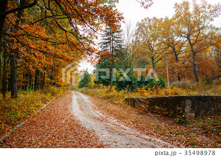 Bright and colorful landscape of sunny autumn Bright and colorful landscape of sunny autumn 35498978