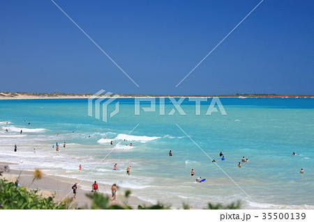 ブルーム ケーブルビーチ ブルーム ケーブルビーチ 35500139