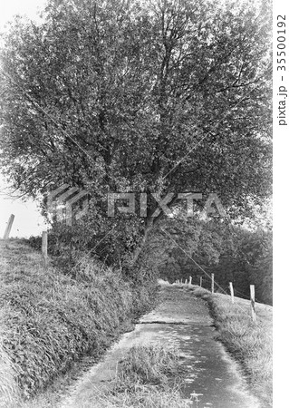 Hiking trail, Odenthal, Germany Hiking trail, Odenthal, Germany 35500192