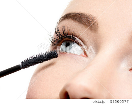 women eye with long black eyelashes and makeup brush women eye with long black eyelashes and makeup brush 35500577