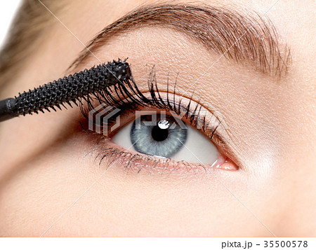 women eye with long black eyelashes and makeup brush 35500578