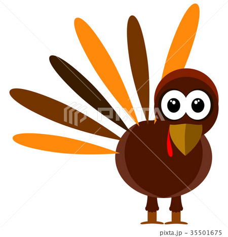 Turkey isolated on white Turkey isolated on white 35501675