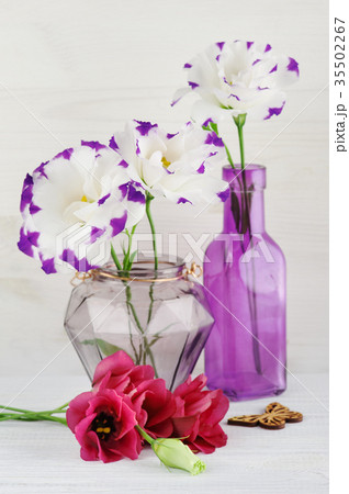 Purple red eustoma flowers on white table Purple red eustoma flowers on white table 35502267