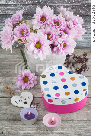 Pink chrysanthemum in concrete pot with gift Pink chrysanthemum in concrete pot with gift 35502565