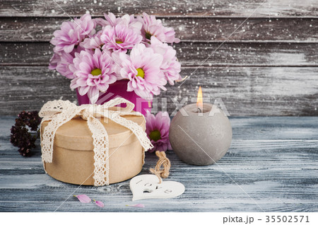 Pink chrysanthemum in concrete pot Pink chrysanthemum in concrete pot 35502571