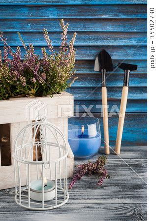 Pink heather, lit blue candle and gardening tools 35502730
