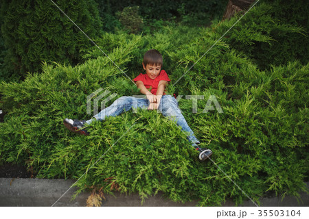 little boy lying on juniper little boy lying on juniper 35503104