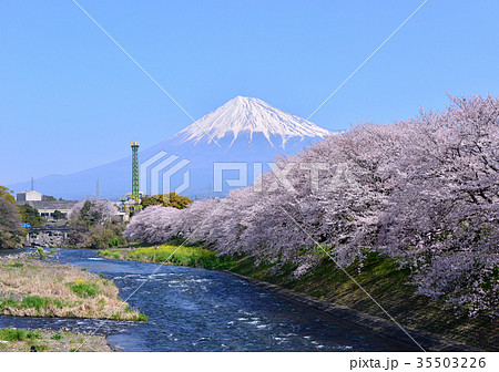潤井川岸からの春の風景-223741 潤井川岸からの春の風景-223741 35503226