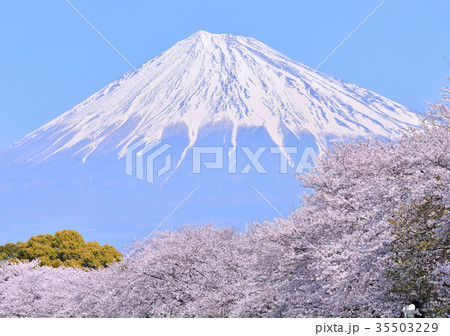 龍厳淵からの春の風景-223744 35503229