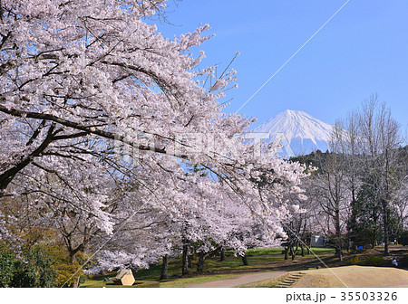岩本山公園からの春の風景-223668 35503326