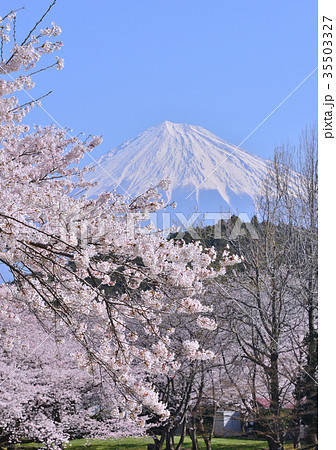 岩本山公園からの春の風景-223669 35503327