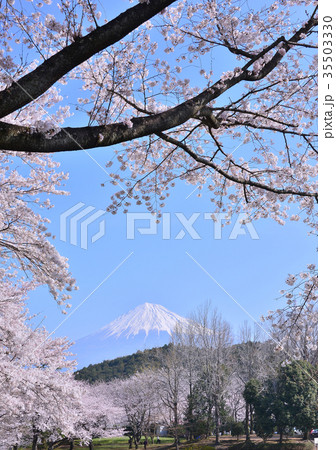 岩本山公園からの春の風景-223672 35503330