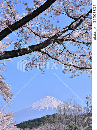 岩本山公園からの春の風景-223674 岩本山公園からの春の風景-223674 35503332
