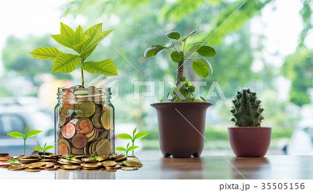 Gold coins and seed in clear bottle with Cactus in pot on the wooden table over the photo blurred background, Business investment growth concept Gold coins and seed in clear bottle with Cactus in pot on the wooden table over the photo blurred background, Business investment growth concept 35505156