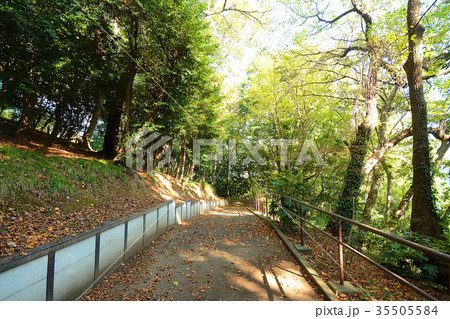 横浜市戸塚区 宮谷西公園 横浜市戸塚区 宮谷西公園 35505584
