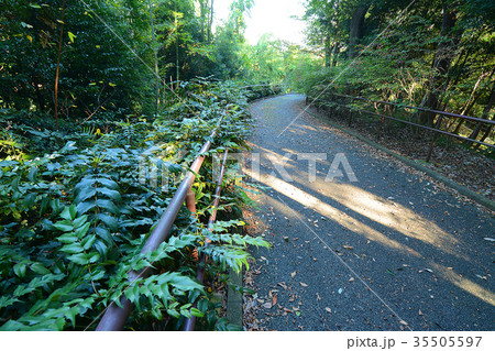 横浜市戸塚区　宮谷西公園 35505597