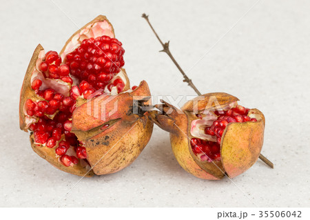 ザクロの実 ザクロの実 35506042