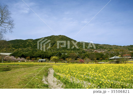 春の金立山 春の金立山 35506821