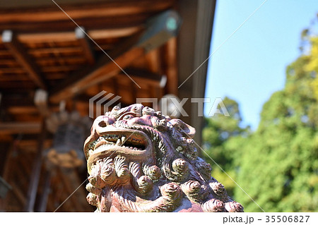 新宮神社 新宮神社 35506827