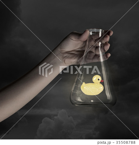 Duck toy 35508788