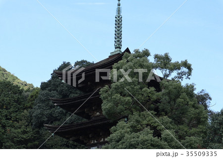 山口の秋 瑠璃光寺 山口の秋 瑠璃光寺 35509335