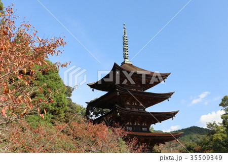 山口の秋 瑠璃光寺 山口の秋 瑠璃光寺 35509349