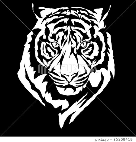 虎のイラストのイラスト素材