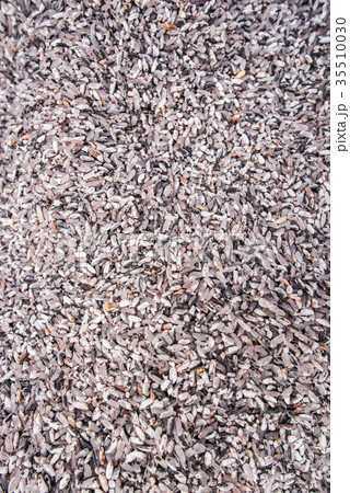 Purple brown rice 35510030