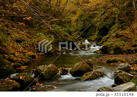 秋の渓谷 35510148