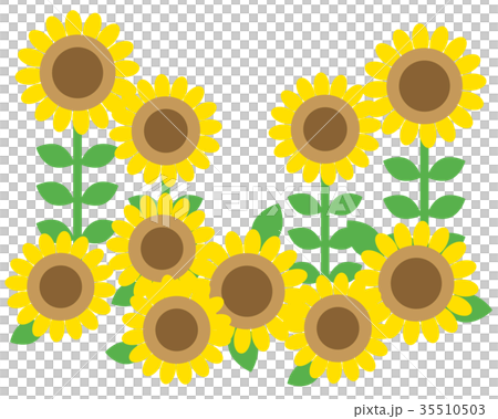 Summer image Sunflower Summer image Sunflower 35510503