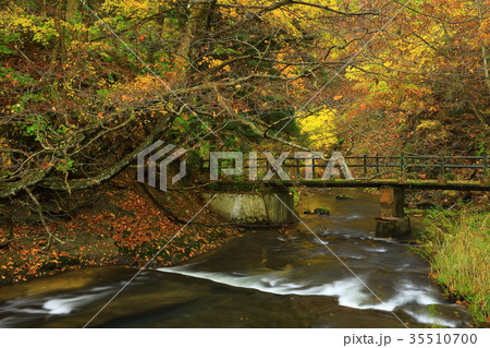紅葉の釜淵の滝 35510700
