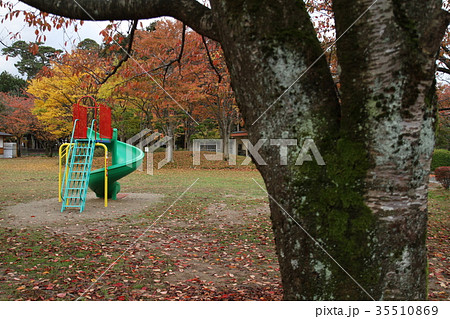 八幡公園の紅葉 八幡公園の紅葉 35510869