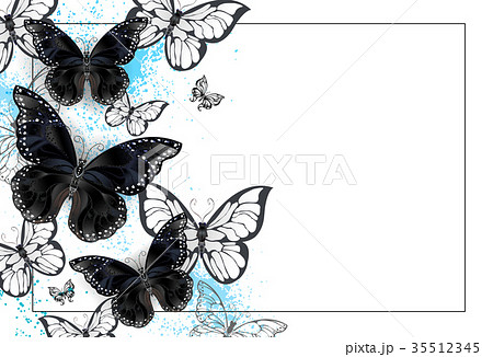 Background With Black Butterfliesのイラスト素材 35512345 Pixta