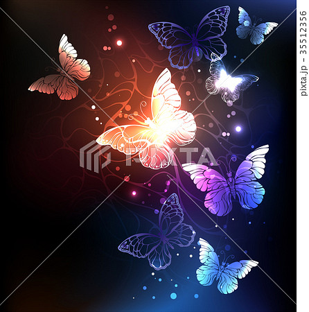Night butterflies 35512356