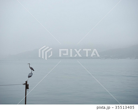 マリーナ 橋脚 桟橋 35513405