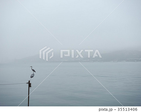 マリーナ 橋脚 桟橋 35513406